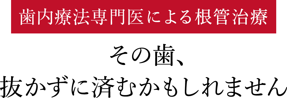 専門医による根管治療