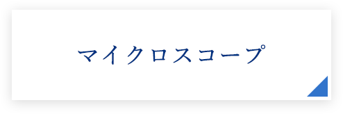 マイクロスコープ