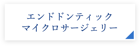 エンドドンティックマイクロサージェリー