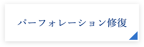 パーフォレーション修復